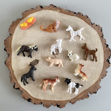 Małe zwierzątka na wsi - zestaw figurek w tubie Safari Ltd