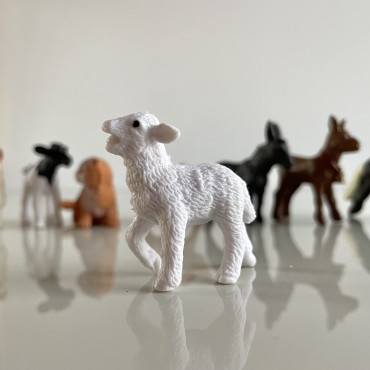 Małe zwierzątka na wsi - zestaw figurek w tubie Safari Ltd - 6