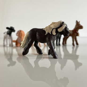 Małe zwierzątka na wsi - zestaw figurek w tubie Safari Ltd - 10