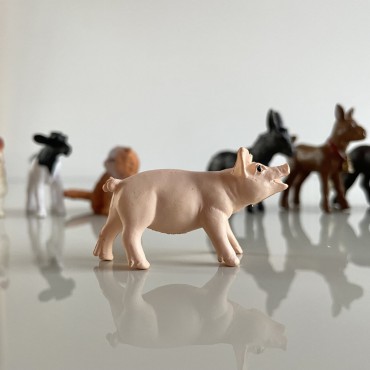 Małe zwierzątka na wsi - zestaw figurek w tubie Safari Ltd - 13