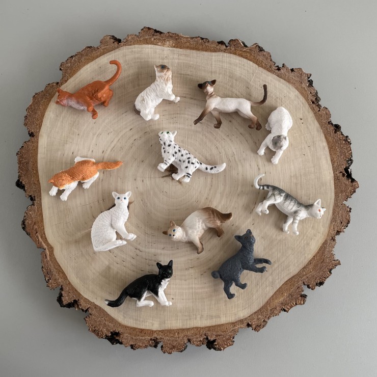Koty domowe - zestaw figurek w tubie Safari Ltd.