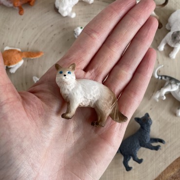 Koty domowe - zestaw figurek w tubie Safari Ltd. - 4