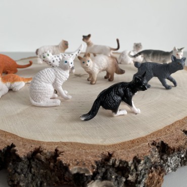 Koty domowe - zestaw figurek w tubie Safari Ltd. - 6