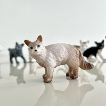 Koty domowe - zestaw figurek w tubie Safari Ltd. - 7