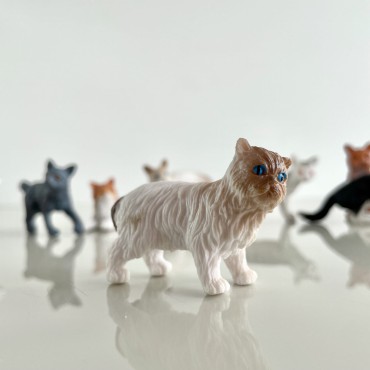 Koty domowe - zestaw figurek w tubie Safari Ltd. - 9
