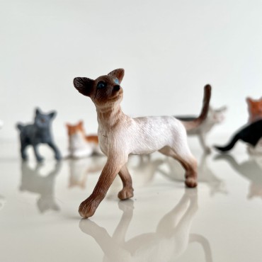 Koty domowe - zestaw figurek w tubie Safari Ltd. - 11