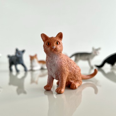 Koty domowe - zestaw figurek w tubie Safari Ltd. - 12