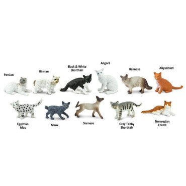 Koty domowe - zestaw figurek w tubie Safari Ltd. - 13