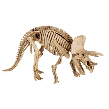 Duży zestaw do wykopalisk Triceratops - T-Rex World Spiegelburg - 1