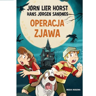 Operacja 10 Zjawa - 1