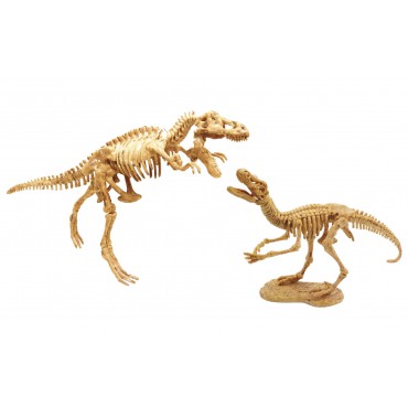 Mały archeolog - 2 szkielety dinozaurów Buki - 2