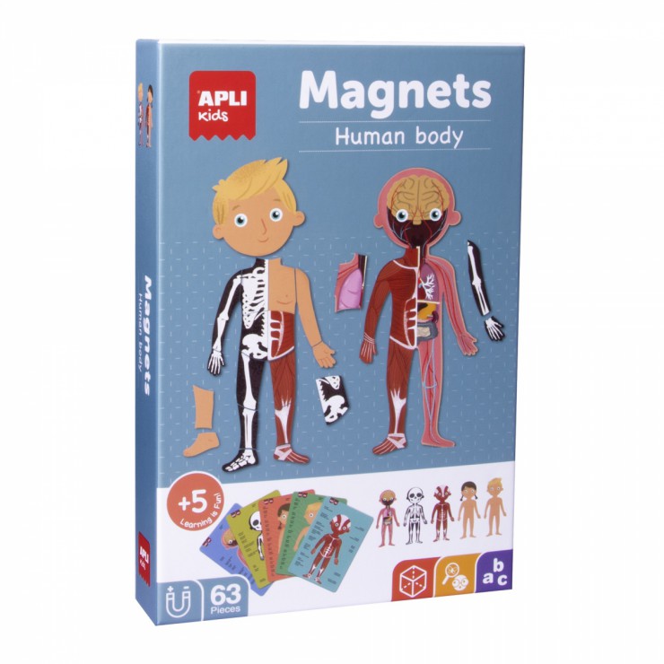 Magnetyczna układanka - Ciało człowieka Apli Kids - 1