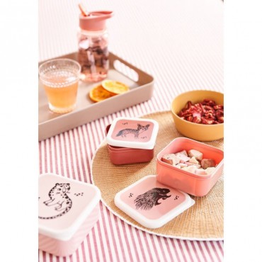 Śniadaniówka Lunchbox Desert Rose Petit Monkey