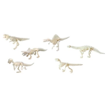 Duży szkielet dinozaura - wykopalisko odcisk łapy Bones&More - 4
