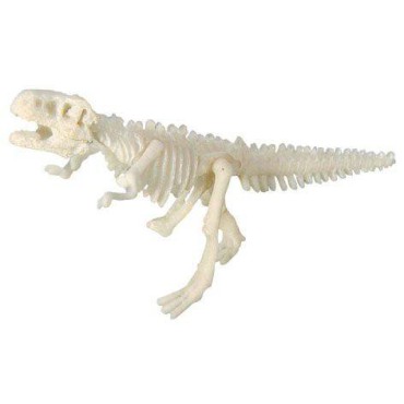 Duży szkielet dinozaura - wykopalisko odcisk łapy Bones&More - 7