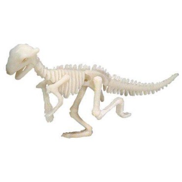 Duży szkielet dinozaura - wykopalisko odcisk łapy Bones&More - 9