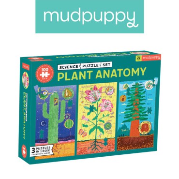 Puzzle edukacyjne 3w1 Anatomia roślin 100 el. 6+ Mudpuppy - 7