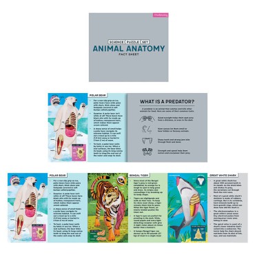 Puzzle edukacyjne 3w1 Anatomia zwierząt 100 elementów 6+ Mudpuppy - 17